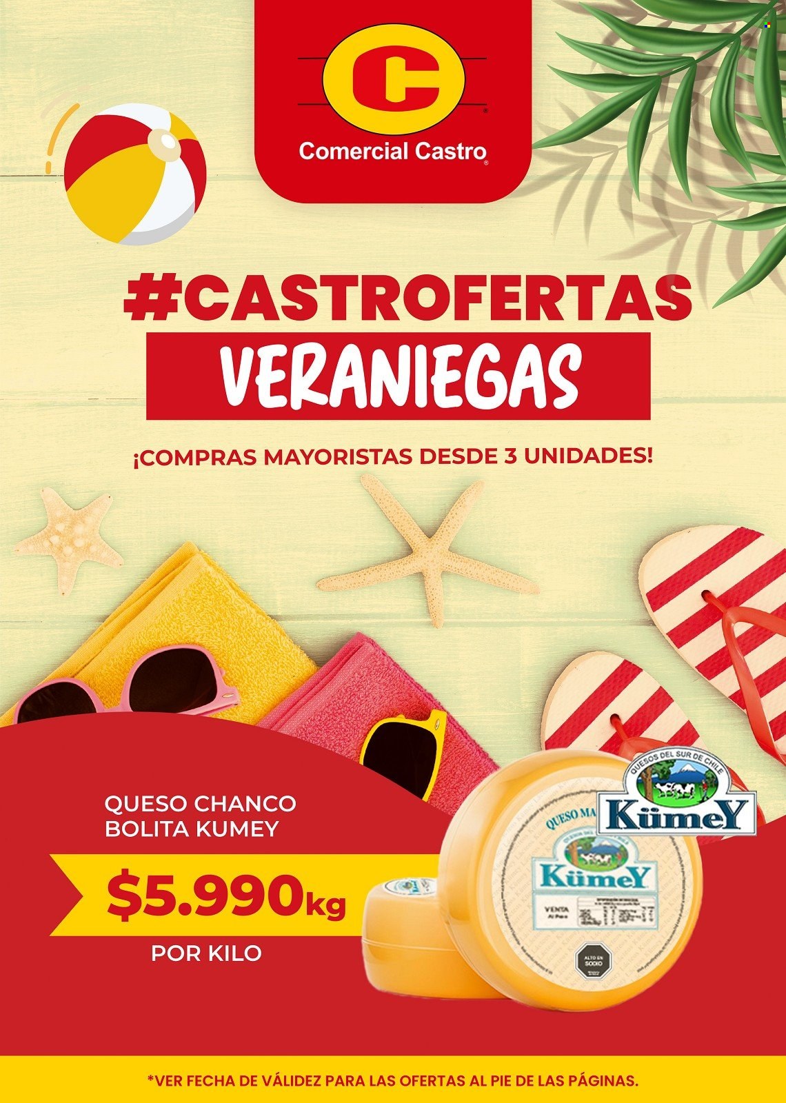 Catálogo Comercial Castro - 15.1.2022 - 31.1.2022 - Ventas - queso. Página 1.